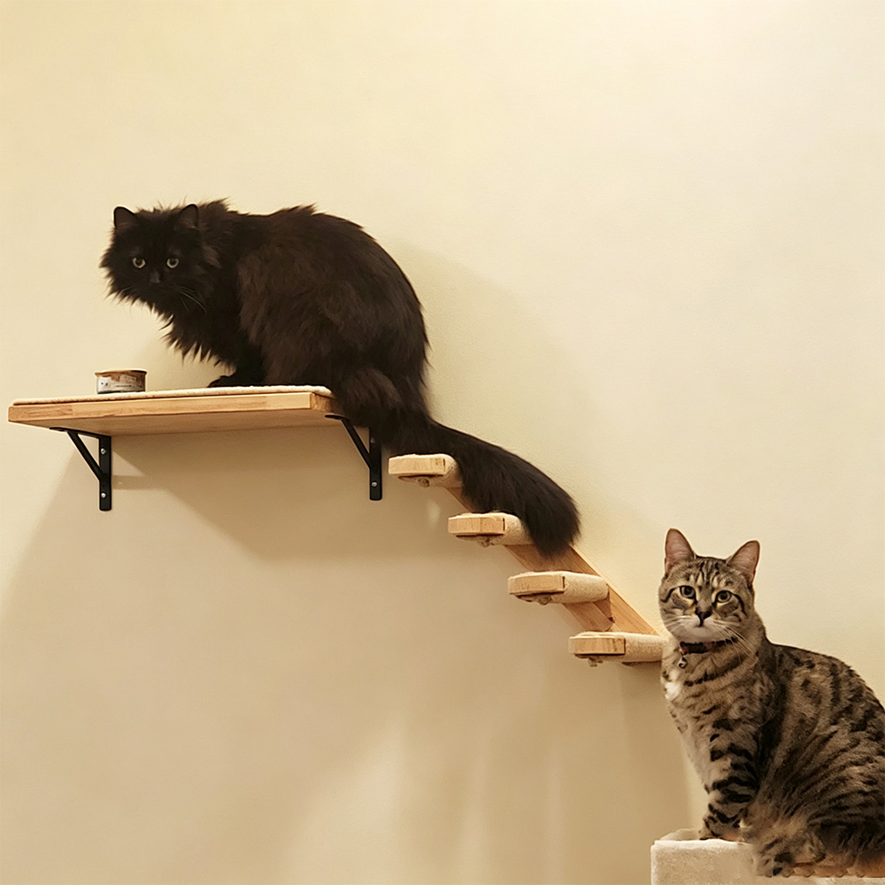 Katzenmöbel Massivholz-Hängebr – Furniture Paradise & Hardware Ghaziabad By Owner Bewertung und Preis